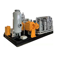 Compressor for natural gas fil