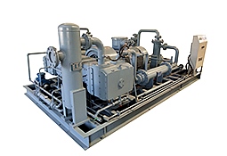 Hydrogen compressor Hydrogen compressor