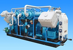 Large displacement compressor